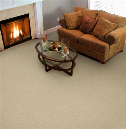 Spellbinding in Khaki Tone Carpet