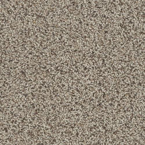 Toast of the Town in Oyster Bay Carpet