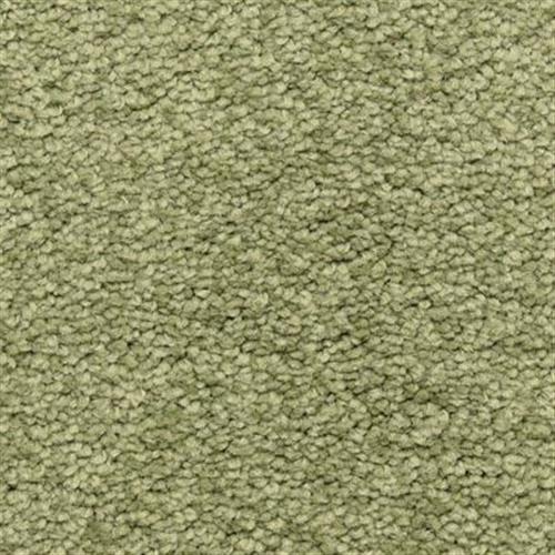 Cassina in Bay Leaf Carpet