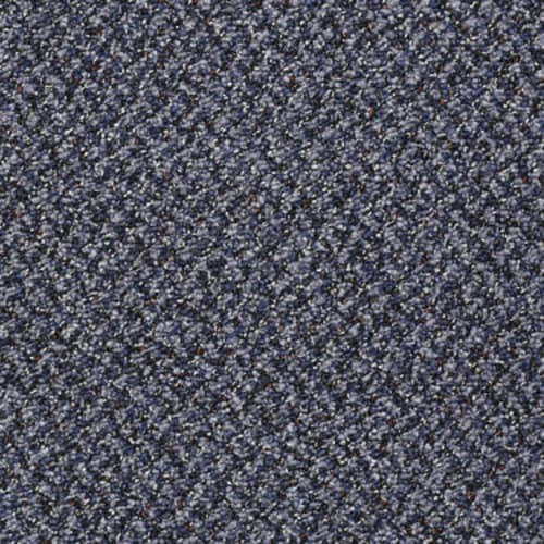 Rousing Review in Striking Carpet