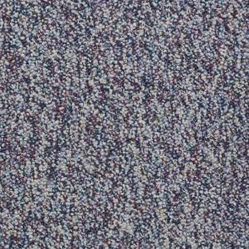 Franchise in Plum Carpet