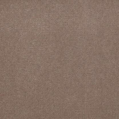 Emphatic II 36 in Clay Bisque Carpet