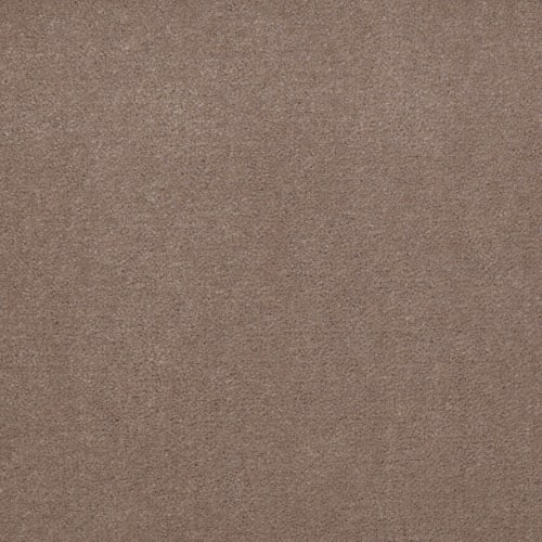 Emphatic II 36 in Clay Bisque Carpet