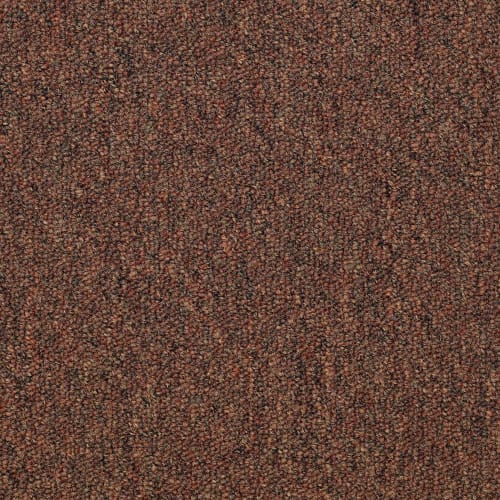 Capital III Bl in Land Slide Carpet