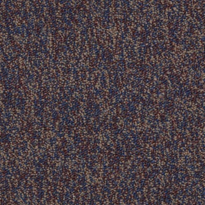 Sound Advice Bl in Exercise Carpet