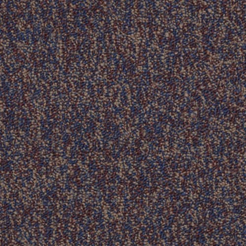 Sound Advice Bl in Exercise Carpet