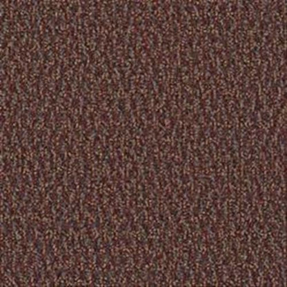 Speak Freely in Open Up Carpet
