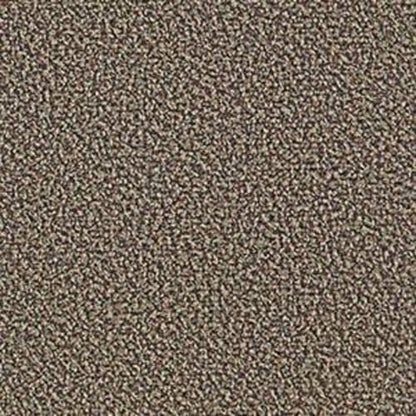 Speak Easy in Laid Back Carpet