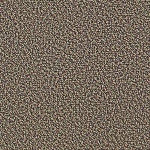Speak Easy in Laid Back Carpet