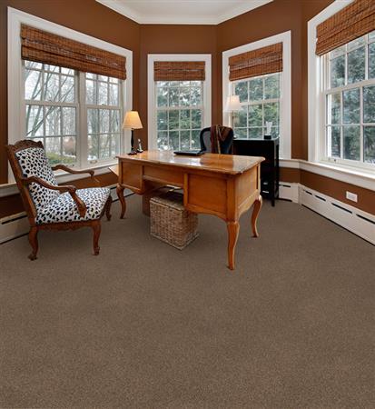 Delight in Stoneworks Carpet