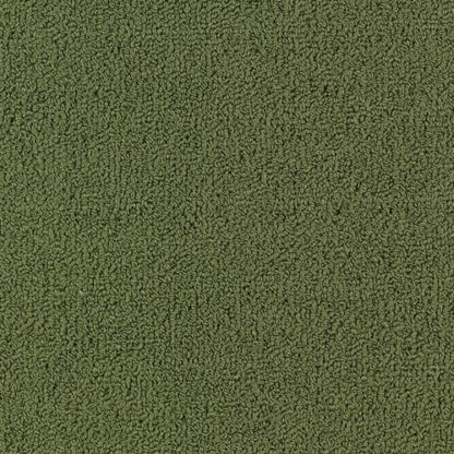 Color Accents Bl in Cactus Carpet