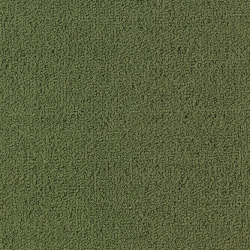 Color Accents Bl in Cactus Carpet