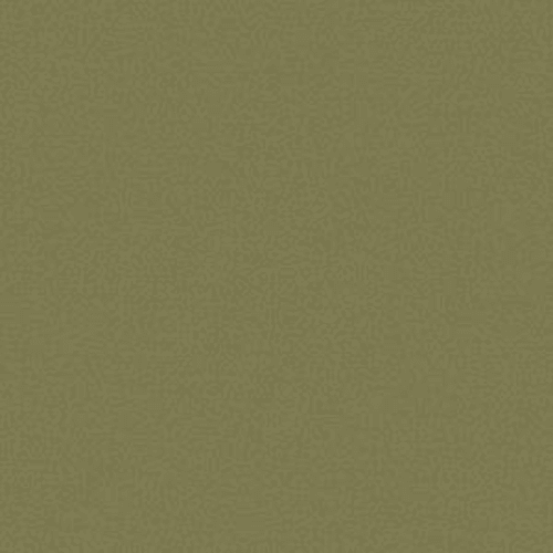 Color Accents Bl