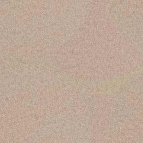 Backdrop II 6 in Natural Finish Carpet