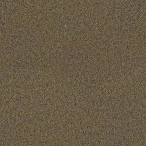 Softscape II 6 in Peat Carpet