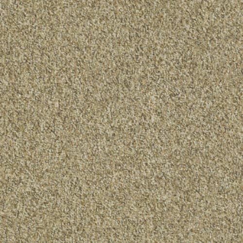 Franchise II 28 in Woodland Carpet