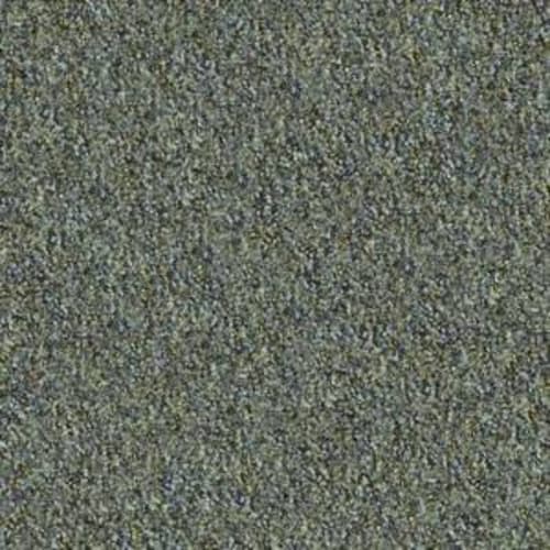Franchise II 26 in Cavern Carpet