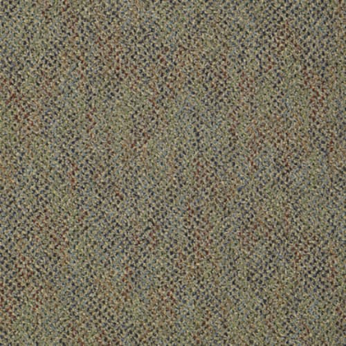 Zing in Vigor Carpet