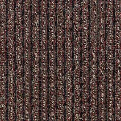 New Statement in Forward On Carpet