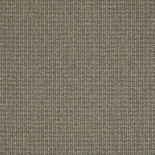 On The Move in Right On Carpet