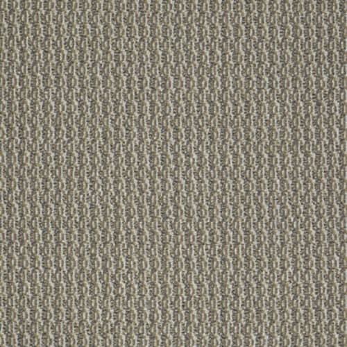On Target in Right On Carpet