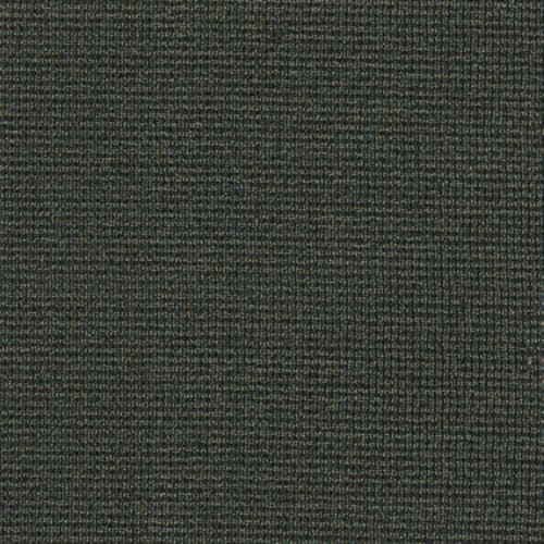 DATELINE TODAY in Segments Carpet