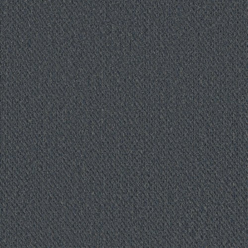PROSPECT in Survey Carpet