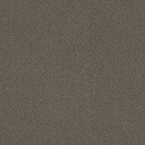 SMALL WONDER in Miracle Carpet