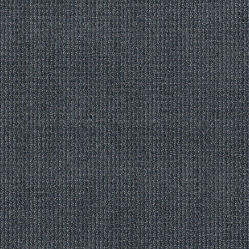 FREE PRESS in Report Carpet
