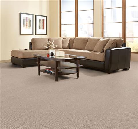 Petit Point in Cappuccino Latte Carpet