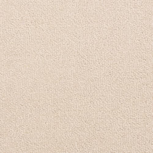 Pure in Refined Carpet