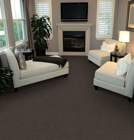 Sterling in Fragile Carpet