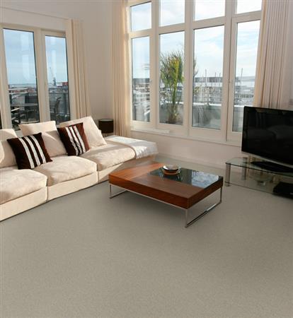 Touch Of Velvet in Ruin Carpet