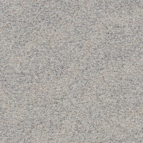 Prismatic II in Cool Carpet