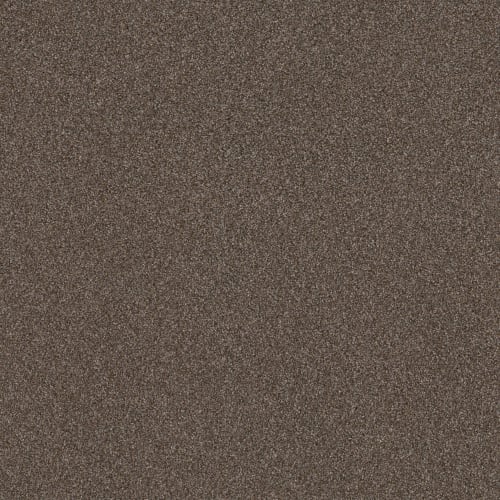 RIGHT CHOICE in Raw Wood Carpet