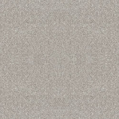 YES YOU CAN I 15' in Frozen Carpet