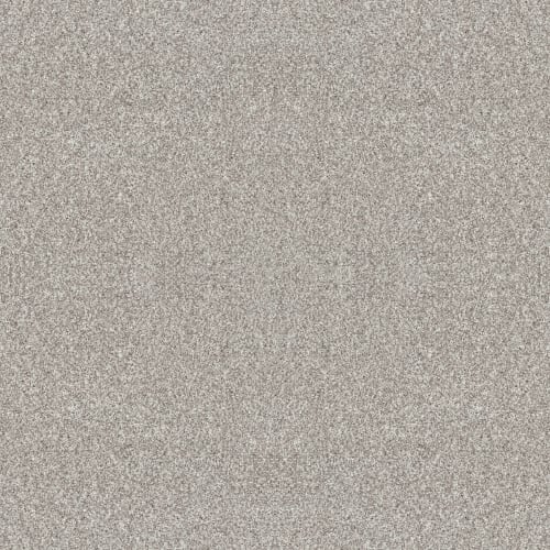 YES YOU CAN I 15' in Frozen Carpet