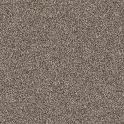 YES YOU CAN II 15' in Soft Sense Carpet