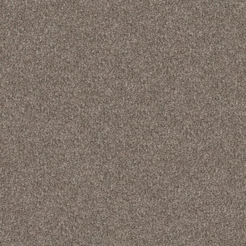 YES YOU CAN II 15' in Soft Sense Carpet