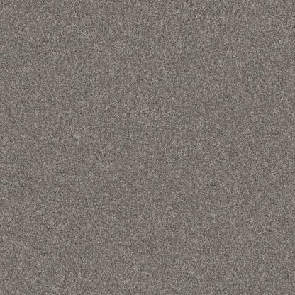 YES YOU CAN III 15' in Vintage Carpet