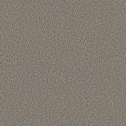 HIGH RANKING B in River Carpet