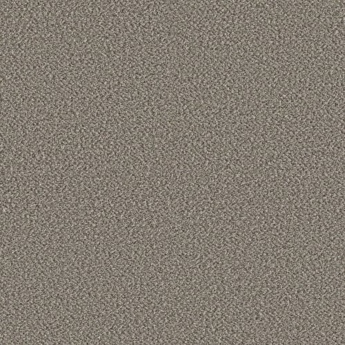 HIGH RANKING B in River Carpet