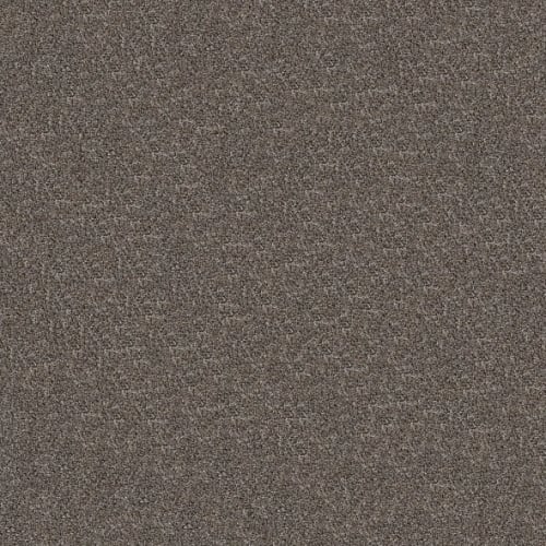Elevated III in Flint Carpet