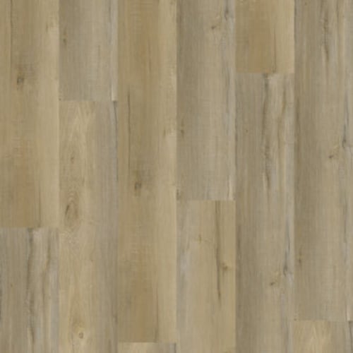 Bliss 5.0 in Nokomis Luxury Vinyl