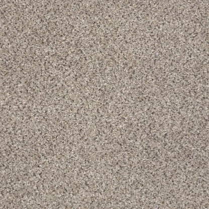 TAKE THE FLOOR ACCENT I in Everest Carpet