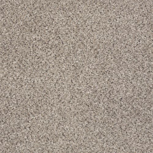TAKE THE FLOOR ACCENT I in Everest Carpet