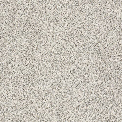 TAKE THE FLOOR ACCENT II