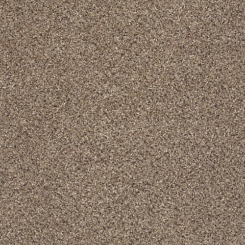 TAKE THE FLOOR ACCENT II in Baltic Brown Carpet