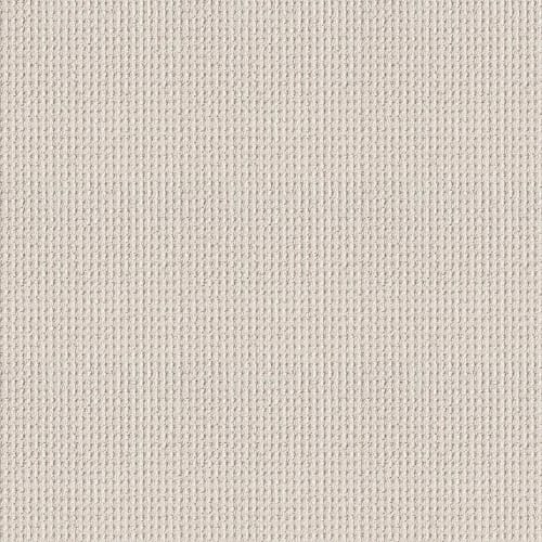 FAINT INTENT in Gallery Opening Carpet