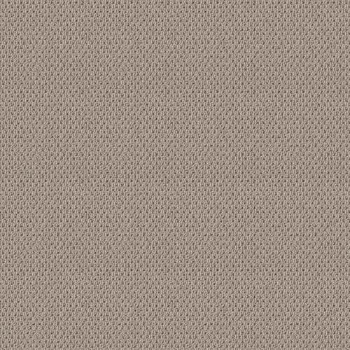 NATURALISTIC in Baltic Stone Carpet